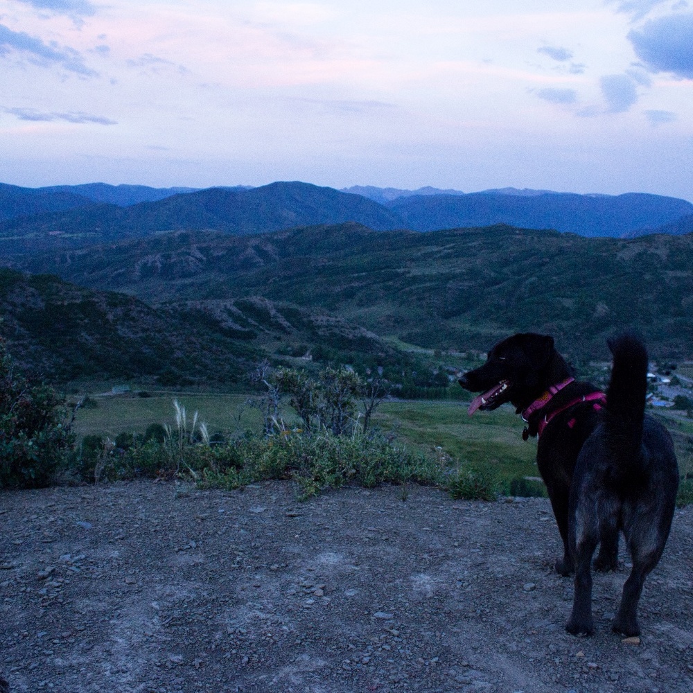 Meet your Posher, Kayla